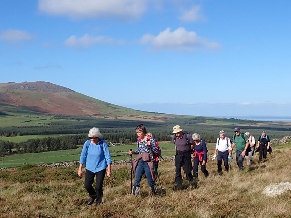 4.Bryncir-Mynydd Cennin
12/10/23. Making our way up Mynydd Cennin.. Looking north with Bwlch Mawr in the background on the left and the sea and Anglesey over to the right.
Keywords: Oct23 Thursday Kath Mair