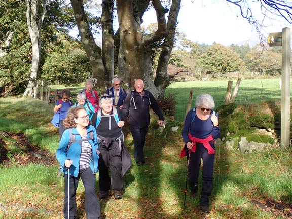6.Bryncir-Mynydd Cennin
12/10/23. Turning east off Lon Goed onto tarmac which will take us to Plas Llecheiddior
Keywords: Oct23 Thursday Kath Mair