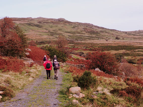 2.Talybont/Conway Valley - Dulyn & Melynllyn Reservoirs
8/10/23. On from the site of the group photograph with Cerrig Cochion to our east and Pen y Castell ahead. A lovely warm day.
Keywords: Oct23 Sunday Eryl Thomas
