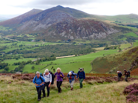 2.Yr Eifl
27/8/23. after a long hard climb from Trefor we are approaching Bwlch yr Eifl and a much needed coffee / tea stop. In the background Moel Pen-llechog and behind it Gyrn Ddu and behind that Gyrn Goch.
Keywords: Aug23 Sunday Annie Andrews