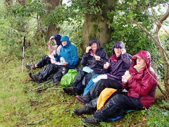 6. Afonwen Farm - Lôn Goed Circular.
15/08/24. Lunch on Lôn Goed near Ty-croes.The heavens did seem to have opened. We sought shelter where we could.
Keywords: Aug24 Thursday Nia Parry