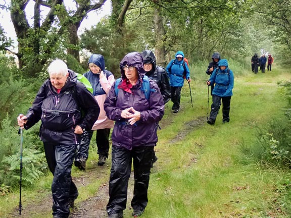 7. Afonwen Farm - Lôn Goed Circular.
15/08/24. On the final stages of Lôn Goed, near the south end. The rain has eased off somewhat. 
Keywords: Aug24 Thursday Nia Parry
