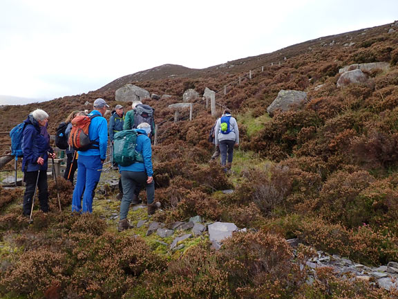 4. Bethesda - Penrhyn Quarry - Mynydd Llandegai
3/11/24. Soon after the morning panad the team making for the cairn (close to Carnedd y Filiast) talk their leave and head upwards.
Keywords: Nov24 Sunday Noel Davey