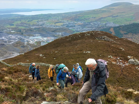 5. Bethesda - Penrhyn Quarry - Mynydd Llandegai
3/11/24. The team on their way up towards the cairn. Penrhyn Quarry buildings below and the eastern tip of Anglesey can be seen across the Menai Strait, in the far background. Good visibility so far. Photo: Eryl Thomas.
Keywords: Nov24 Sunday Noel Davey