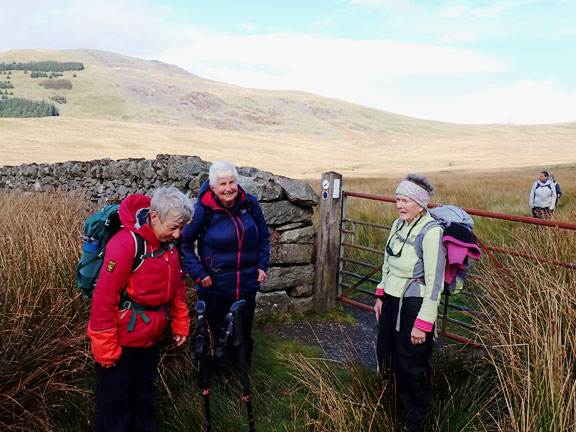 4. Dyffryn Ardudwy - Pont Scethin
6/10/24. A brief stop on path from Pont Scethin, on the other side of Afon Ysgethin, to allow the rest of the group to catch up. They were delayed by a dropped credit card and a dog worrying some sheep.
Keywords: Oct24 Sunday Hugh Evans