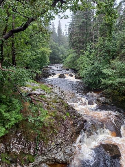5. Ganllwyd - Penrhos Isaf
25/08/24. The Afon Mawddach in full spate. Photo: Eryl Thomas.
Keywords: Aug24 Sunday Eryl Thomas