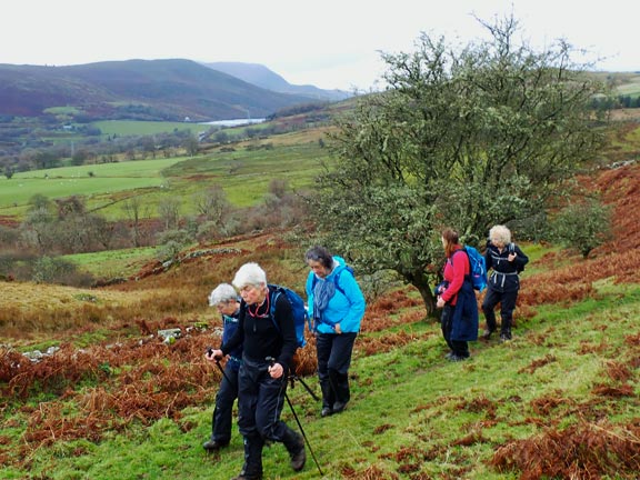 2. Graig y Garn & Tryweryn Trail
1/12/24.On the south side of Graig -y-Garn near Traean-y-Garn farm. The grassy side of the Llyn Celyn dam can be seen in the background.
Keywords: Dec24 Sunday Adrian Thomas