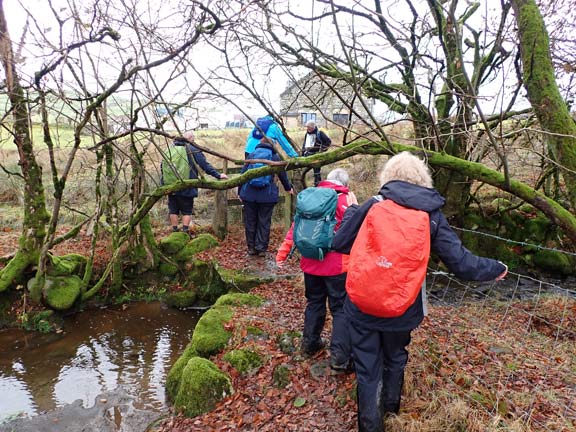 4. Graig y Garn & Tryweryn Trail
1/12/24. A difficult water crossing. The stream on this side and a water filled ditch the other side of the wall. Behind the trees is a newly renovated old house called Gorseddau.
Keywords: Dec24 Sunday Adrian Thomas