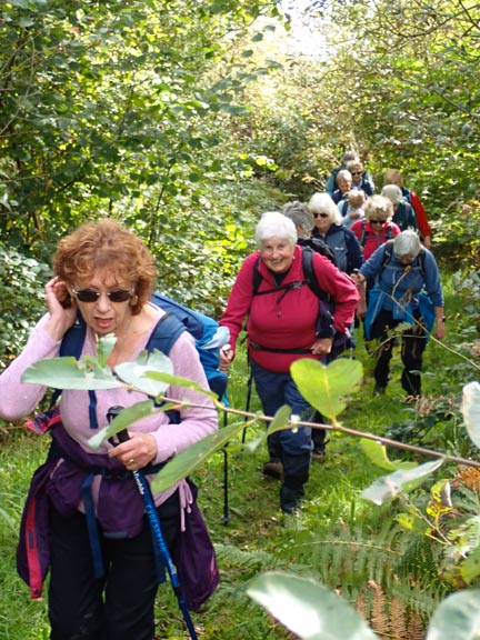 4. Llanengan- Ffynnon Fyw
10/10/24. Coming out of a 500metre stretch of path called Y Clawdd Mawr which has been recently cleared by ANOB volunteers. The path runs along the top of an earthen wall, fenced on both sides.
Keywords: Oct24 Thursday Jane Logan