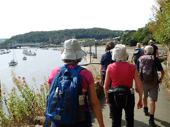 3.Morfa Conwy - Great Orme - Llandudno West Shore.
28/7/24. Approaching Conwy with the town, the bridge and the castle ahead of us.
Keywords: Jul24 Sunday Kath Mair