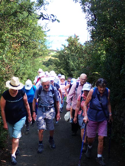 3.Porth Ceiriad Circular
1/8/24. A slow ascent up a narrow path to Bwlchtocyn.
Keywords: Aug24 Thursday Louise Fletcher-Brewer