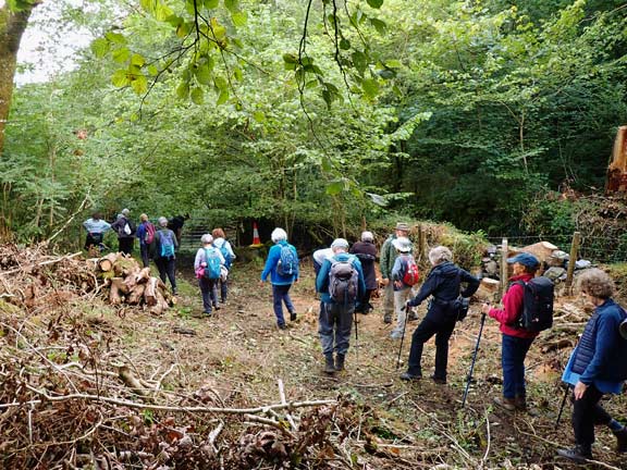 3. Talsarnau Circuit.
29/8/24. Walking alongside a forested area close to Soar and Coed Maes-y-neuadd.
Keywords: Aug24 Thursday Elsbeth Gwynne