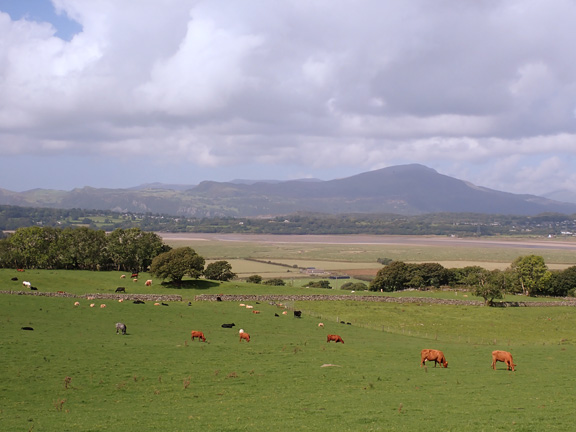 6. Talsarnau Circuit.
29/8/24. A view across the Dwyryd Estuary over to Moel-ddu in the background.
Keywords: Aug24 Thursday Elsbeth Gwynne