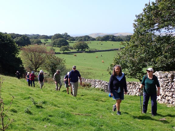 7. Talsarnau Circuit.
29/8/24. Above Cefn-trefor-fawr.
Keywords: Aug24 Thursday Elsbeth Gwynne
