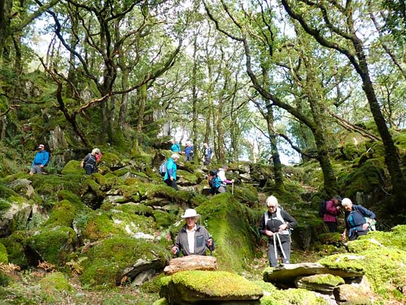 6. Around Yr Arddu
21/9/25. On our way south after lunch. Coming down a tricky little section close to Craig y Clogwyn on the left and Afon Nanmor to  our right..
Keywords: Sep25 Sunday Hugh Evans