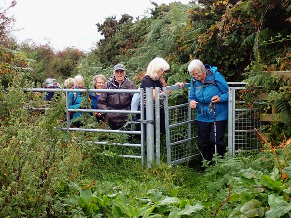 3.  Around Garn Boduan.
28/8/25. The end of a path between two field walls which had been cleared by an ANOB team not many years ago but which is clogging up again with bracken and bramble.
Keywords: Aug25 Thursday Jane Logan