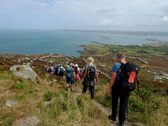 5. Caergybi/Holyhead Coast and Mountain
27/07/25. Leaving the summit quickly from a summit inhabited by wasps. The  town and port of Holyhead below us.
Keywords: Jul25 Sunday Anne Andrew