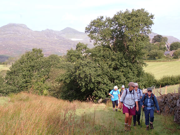 2. Llan Ffestiniog Valleys and Falls.
10/08/25. Making our way over from Llan Ffestiniog to Rhaeadr Cynfal (Cynfal Waterfalls). The Moelwyn and the Llyn Stwlan Dam in the background.
Keywords: Aug25 Sunday Eryl Thomas