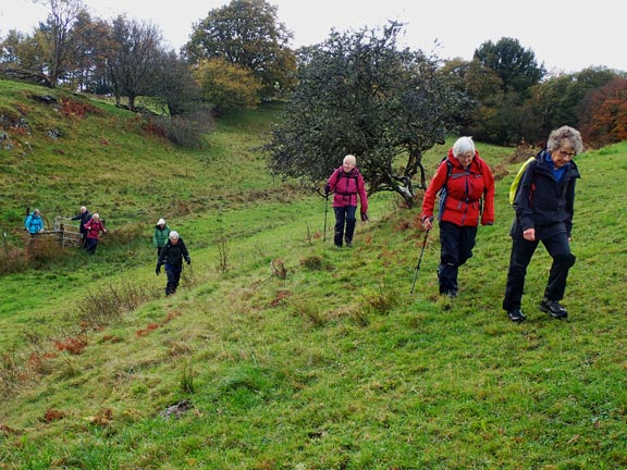 3. Bala - Moel Emoel
23/10/25. Crossing one of the less intensive farming area within the estate.
Keywords: Oct25 Thursday Nia Parry