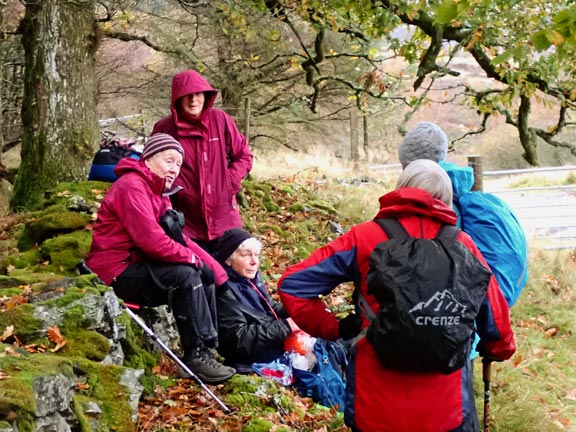 7. Bala - Moel Emoel
23/10/25. Following the conquering of Moel Emoel, lunch in the shelter of a patch of woodland.
Keywords: Oct25 Thursday Nia Parry