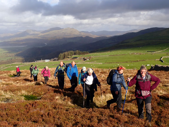 4. Harlech - Foel Senigl - Moel Goedog - Moel y Gerddi
2/11/25. Coming up to the summit of Foel Senegal from the north. Afon Dwyryd can be seen in the background, and possibly the Moelwyns in the far background.
Keywords: Nov25 Sunday Rita Thornbery