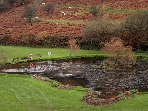 5. Mynytho - Abersoch
6/11/25. the lakes of Bryn Cethin Bach caravan site. There are three black swans to be seen in the picture. On the island in the middle of the lake. 
Keywords: Nov25 Thursday Annie Andrew Jean Norton