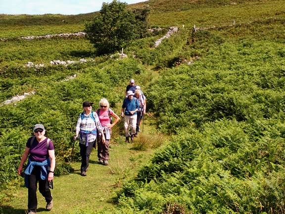 4. Nefyn - Pistyll
3/7/25. Further up along the side of Gwylwyr with a panad stop due.
Keywords: Jul25 Thursday Ann Jones Ruth Williams