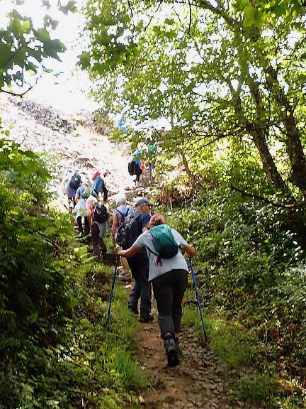 8. Nefyn - Pistyll
3/7/25. The Wales Coast Path crosses the disused Gwylwyr Quarry Incline as it makes it way down to the B4417 (Pistyll - Nefyn main road). Quite a few steps up and down were required.
Keywords: Jul25 Thursday Ann Jones Ruth Williams