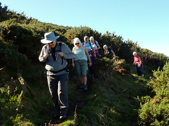 5. Porth Ysgo - Mynydd Penarfynydd
25/9/25. Past Penarfynydd farm going east, having left one of our number to take a short cut back to the car park. A few more yards and we will turn west to make our way up to the trig point at the top of Mynydd Penarfynydd.
Keywords: Sep25 Thursday Judith Thomas