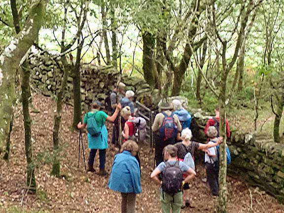 3. Talsarnau Area
14/8/25. In a woodland area in Blackwood heading north towards Soar.
Keywords: Aug25 Thursday Colin Higgs
