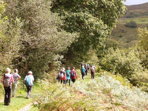 4.Talsarnau Area
14/8/25. About to enter a forestry area called Ceunant Coch, not far from our lunch stop at llyn Tecwyn Isaf.
Keywords: Aug25 Thursday Colin Higgs