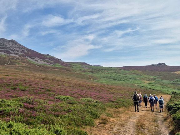 4. Carnguwch
16/7/26. A bit further on with the lower slopes of Tre'r Ceiri to our left and  rocky outcrop which is Caergribin is ahead of us. Photo: Debby Cheng.
Keywords: Jul26 Thursday Christine Evans