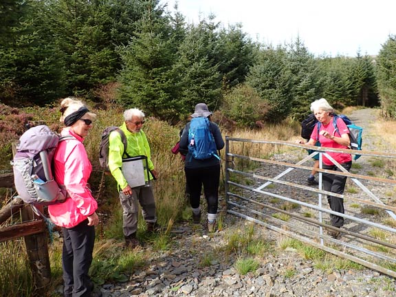 5. Cwm Prysor
6/9/2026. Entering Penllyn Forest straight after lunch with just a short distance to go before we reach the main road and cross over to the return path.
Keywords: Sep26 Sunday Noel Davey Annie Andrew