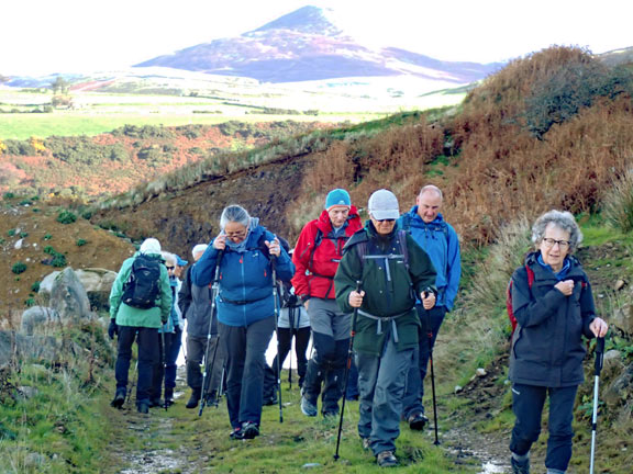 2. Pistyll - Moel Gwynus - Moel Ty-gwyn.
22/10/26. Up on the west side of Moel Ty-gwyn having just recovered from a steep climb up from the church. Yr Eifl can be seen in the background.
Keywords: Oct26 Thursday Margot Jones
