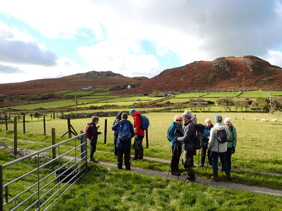 3. Pistyll - Moel Gwynus - Moel Ty-gwyn.
22/10/26. Finally off Moel Ty Gwyn and down into Bwlch Gwynt, with Gwylwyr and Carreglefain in the background.
Keywords: Oct26 Thursday Margot Jones