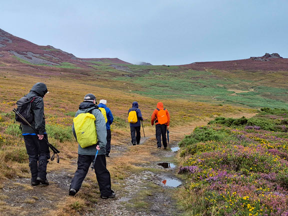 3. Slopes of Yr Eifl
27/8/26. On our way from the car park to rock outcrop called Caergribyn. Photo: Debby Thomas.
Keywords: Aug26 Thursday Michael Thomas Debby Thomas