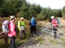 CwmPrysor19.jpg
