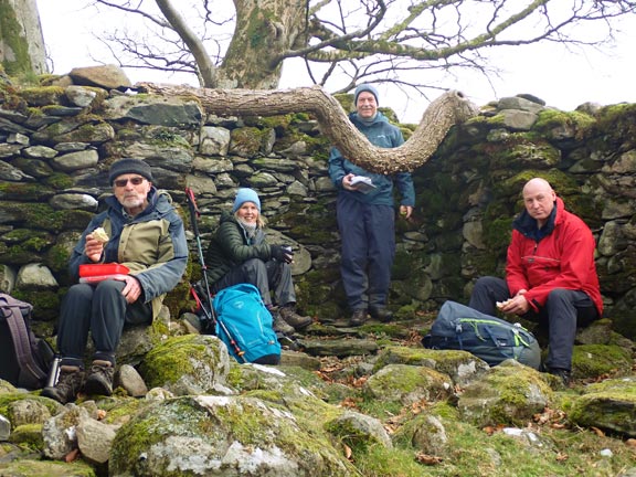 5. Moelyci - Parc Drysgol
1/1/26. The ruins of buildings at Maes Meddygon. an idea place for lunch. Two of our number took up refuge in the fireplace.
Keywords: Jan26 Thursday Noel Davey Gwynfor Jones
