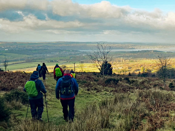 8. Moelyci - Parc Drysgol
1/1/26. Descending along the the north east side of Moelyci, with the  Menai Strait and Anglesey beyond in the background. Photo: Mags McQuiilian Jones
Keywords: Jan26 Thursday Noel Davey Gwynfor Jones