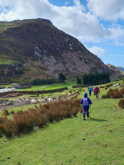 6. Mynydd Mawr
5/4/26. Photo: Eryl Thomas.
Keywords: Apr26 Sunday Noel Davey