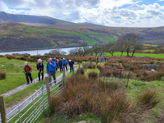 7. Mynydd Mawr
5/4/26. On our way up from Nantlle back to our starting point, Y Frôn. llyn Nantlle Uchaf can be seen in the background with probably Mynydd  Tal-y-mignedd in the far left of the background. Photo: Eryl Thomas.
Keywords: Apr26 Sunday Noel Davey