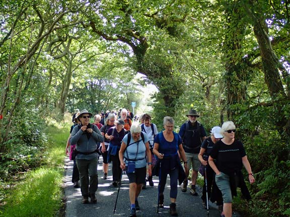 4. Llanystumdwy Circuit
31/7/25. On a stretch of road between Betws Fawr and Lôn Goed.
Keywords: Jul25 Thursday Dafydd Williams Jean Norton