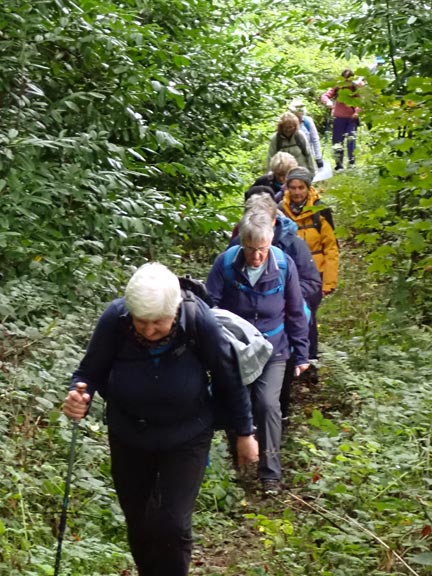 4. Llanystumdwy Circular
8/10/26. Coming up from crossing a footpath bridge which crosses over Afon Dwyfach close to Betws Fawr Farm.
Keywords: Oct26 Thursday Dafydd Williams Jean Norton