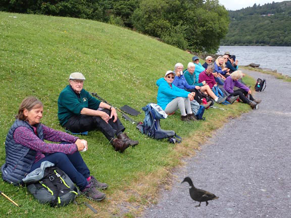 3. Llyn Padarn Circuit
2/7/26. The duck came along after the photo of members having their morning panad was taken, but they were still sitting there when the duck appeared. So the duck was inserted from a photograph taken by Gwynfor Jones. Several ducklings (not photographed!) appeared later.
Keywords: Jul26 Thursday Caroline Woodward