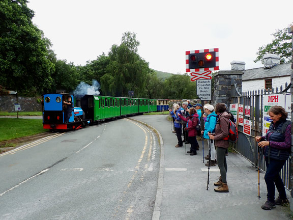 4. Llyn Padarn Circuit
2/7/26. At Gilfach Ddu at the SE tip of Llyn Padarn where the Llanberis Lake Railway crosses the road, which it did right in front of us. Excellent timing by our leader.
Keywords: Jul26 Thursday Caroline Woodward