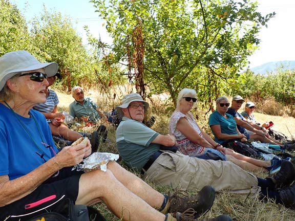 5. Lon Eifion
13/8/26. Another ideal spot for lunch at Pant Du in their orchard. It looks like a good year for cider.
Keywords: Aug26 Thursday Kath Mair