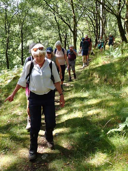 3. Dolgellau - Llyn Gwernan
9/8/26. After lunch close to Kings Youth Hostel making our way through some beautiful woodland.
Keywords: Aug26 Sunday Hugh Evans