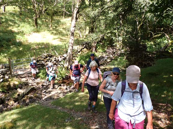 4. Dolgellau - Llyn Gwernan
9/8/26. Crossing a tributary of Afon Gwynant and about to disappear into a large area of bracken. 
Keywords: Aug26 Sunday Hugh Evans