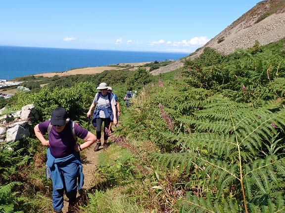 6. Nefyn - Pistyll
30/07/26. On our way back on the North Wales Pilgrim's Way just having passed the turn off to Caffi Nia to which two members of the group were drawn.
Keywords: Jul26 Thursday Gwynfor Jones