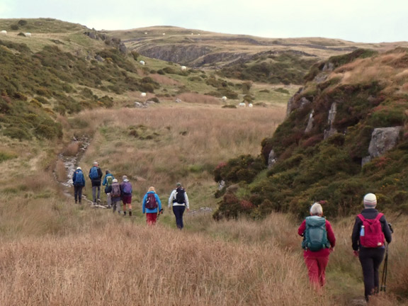 2. Moel Ysgyfarnogod - Foel Penolau - Bryn Cader Faner
20/9/26. Half a mile from the start in the direction of Moel Ysgyfarnogod.
Keywords: Sep26 Sunday Noel Davey